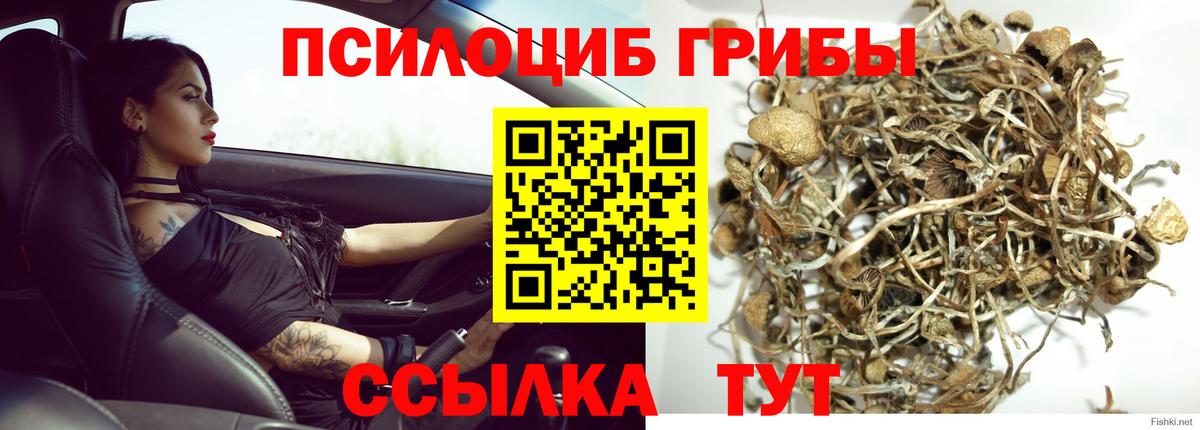 Галлюциногенные грибы ЛСД  Галлюциногенные грибы Cubensis  Лысьва  Вход с VPN 